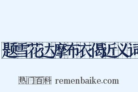 题雪花达摩布衣偈近义词是什么意思的图片